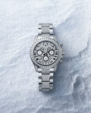 Role_x Oyster Perpetual Tiger Silver